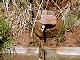 47 - The piped spring