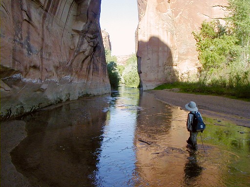 05 - Hiking the stream