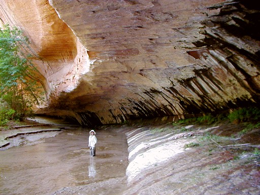 14 - Overhanging walls with seeping springs