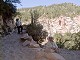 27 - A short hike down the North Kaibab