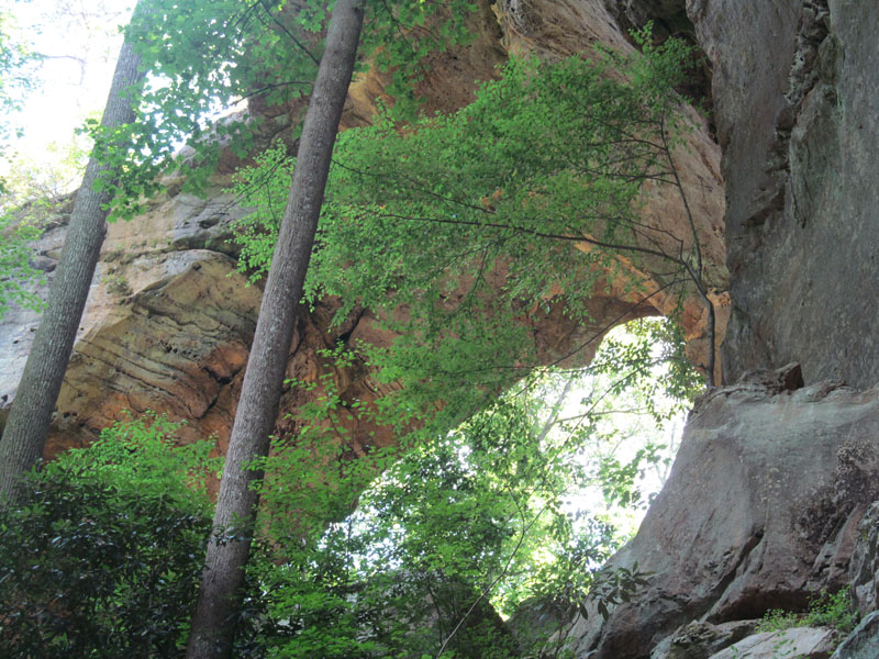 15 - Grays Arch