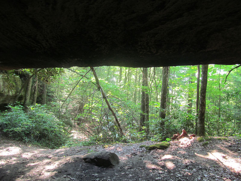16 - From cave