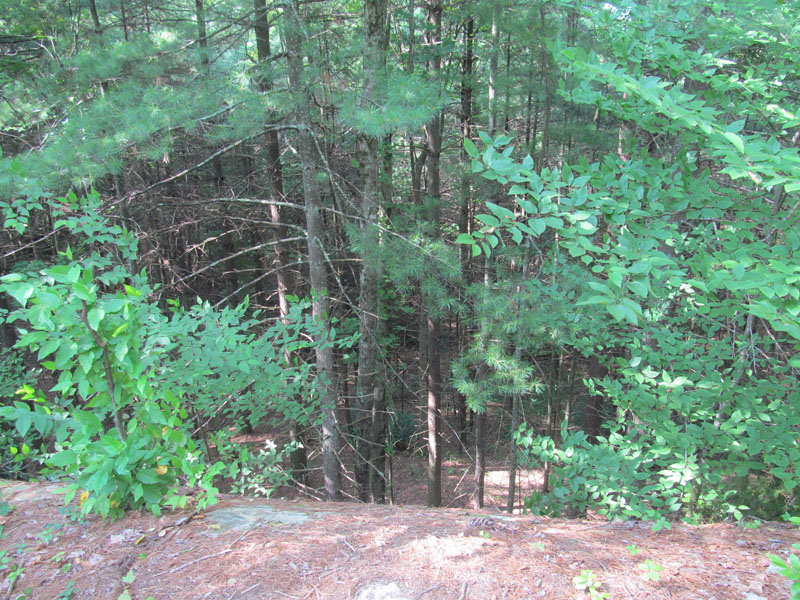 22 - Dropoff from trail