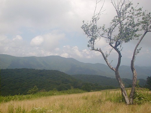 22 - View from 5216 ft Siler Bald