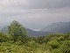23 - View