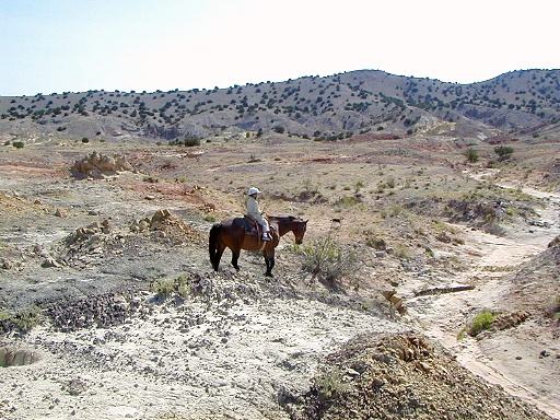 04 - Crossing a gully