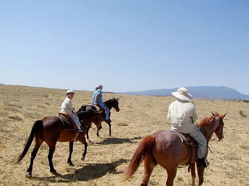 05 - Looking for stray cattle