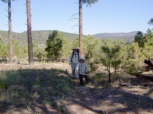 40 - The mesa trail