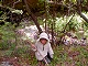 33 - Aboriginal boy with spear