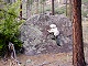 34 - Doing some boulder climbing