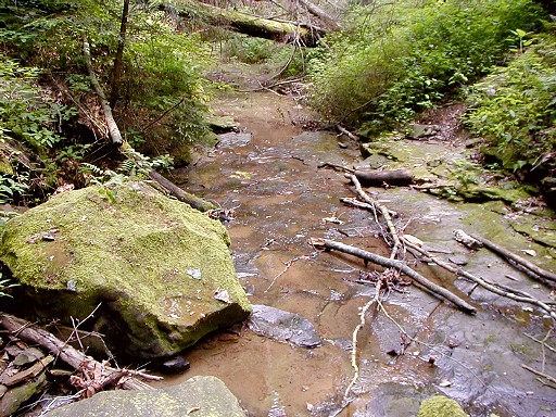 13 - Rocky stream