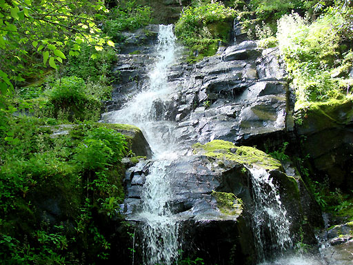 01 - Hen Wallow Falls