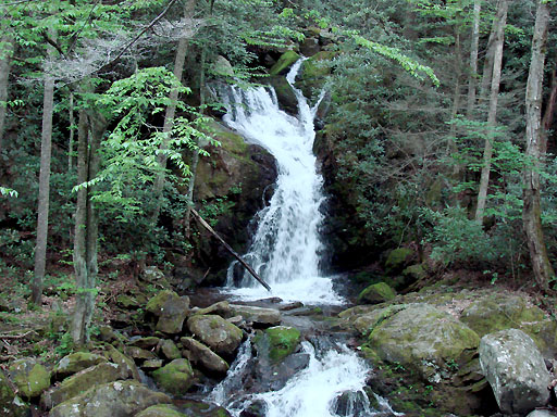 18 - Mouse Creek Falls