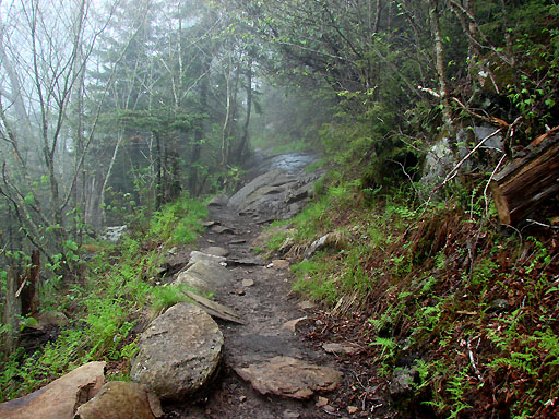 89 - Foggy Appalachian Trail