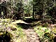 58 - Dry Forney Ridge Trail