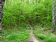 64 - Appalachian Trail