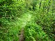 94 - Grassy Branch Trail