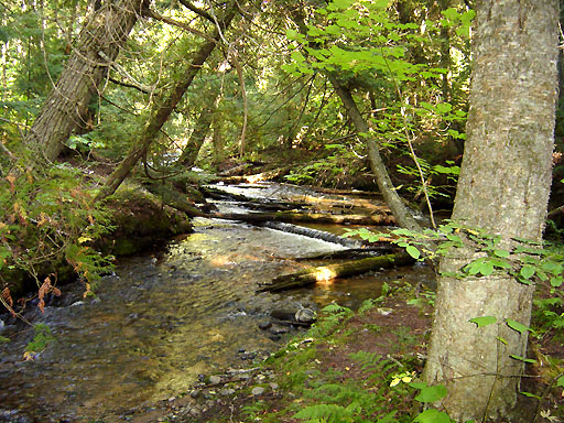 14 - Hypothermia (7 Mile) Creek