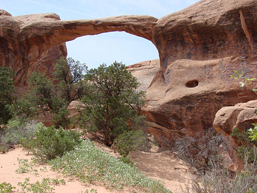 10 - Double O Arch