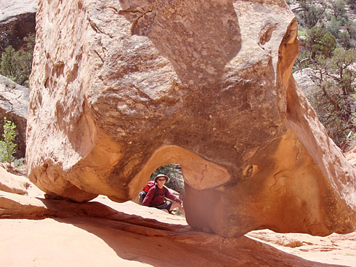 16 - David Behind a Rock