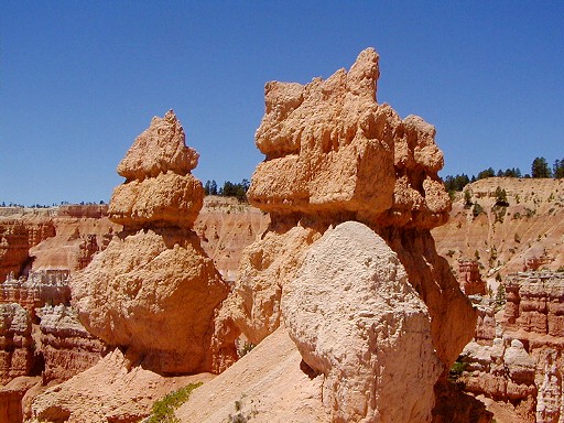 48 - Bryce