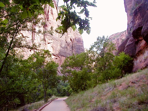 54 - Zion river walk