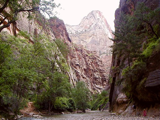 55 - Zion's Virgin River