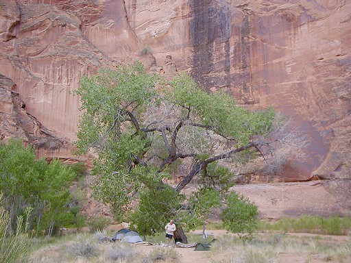 59 - Campsite at Coyote Creek