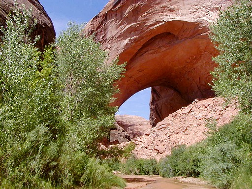 63 - Lobo Arch