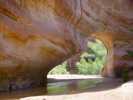 69 - Coyote Natural Bridge