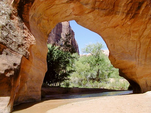 72 - Coyote Natural Bridge