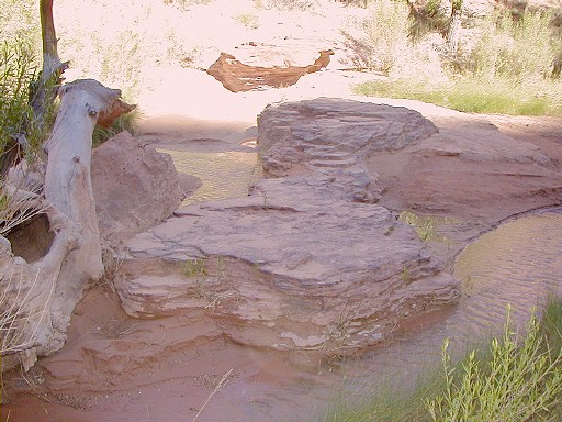 92 - Coyote Creek twisting and turning