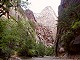 55 - Zion's Virgin River