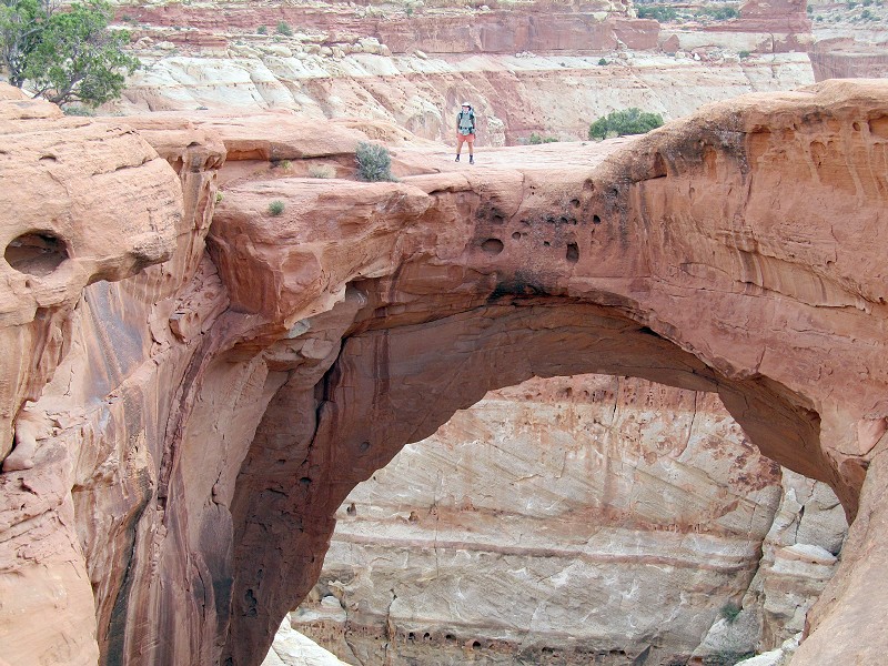 13 - Harry on Cassidy Arch