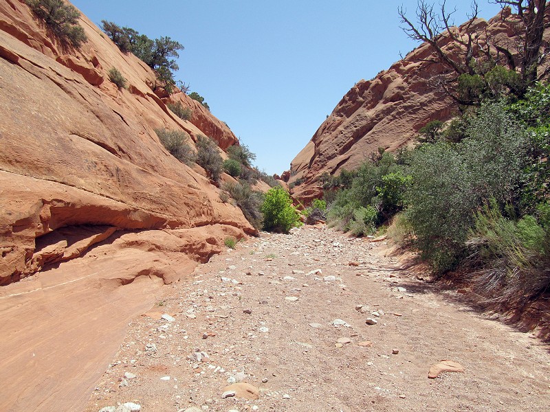 30 - Upper Muley Wash