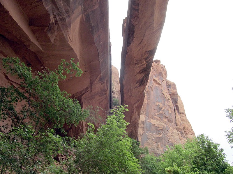 56 - Morning Glory Natural Bridge