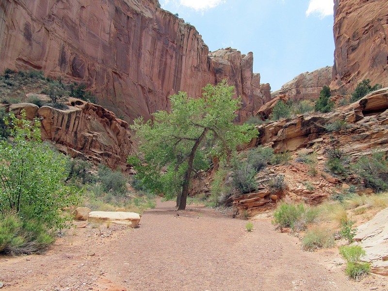 68 - Chimney Rock Canyon