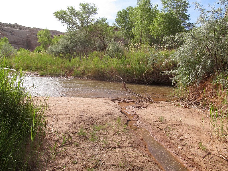 94 - Lower Spring Canyon at Fremont River