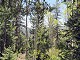 82 - Wildcat Loop in Dixie National Forest