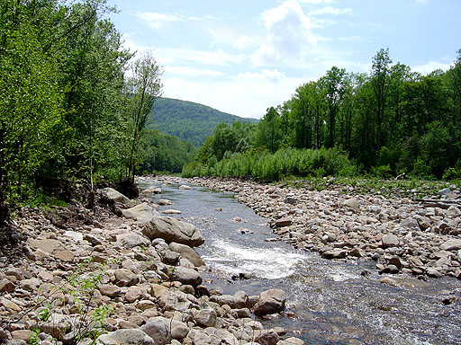 00 - Lower Red Creek