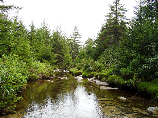 02 - Dunkenbarger creek