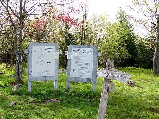 04 - Upper Stonecoal Trailhead