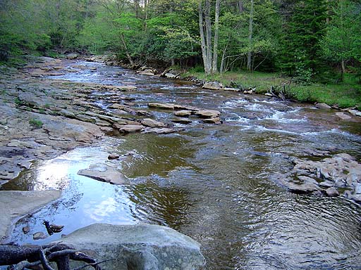 11 - Red Creek Forks