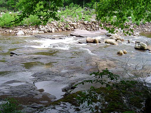 25 - Red Creek Rapids