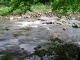 25 - Red Creek Rapids