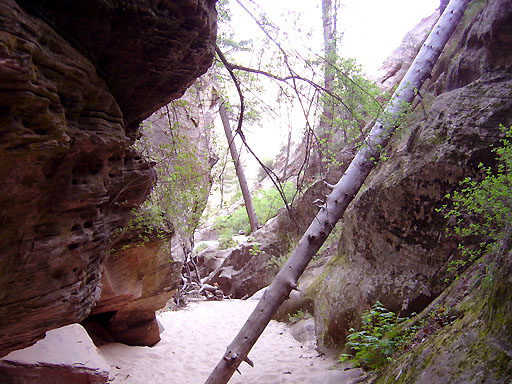 08 - Hidden Canyon