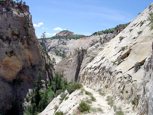 28 - West Rim Trail