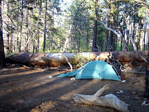 29 - West Rim 6 Campsite