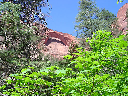 39 - Kolob Arch (world's largest)