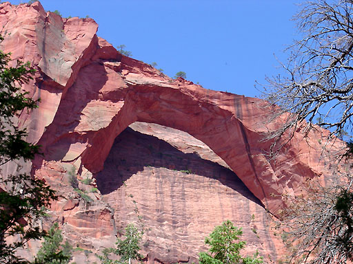 40 - Kolob Arch (world's largest)